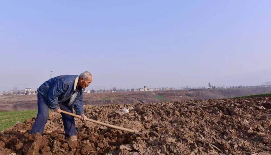 2022年農(nóng)村土地征收補償最新政策是怎樣的？