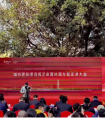 廣東東莞東城火煉樹房屋拆遷安置補(bǔ)償方案出爐！拆遷補(bǔ)償超10億！