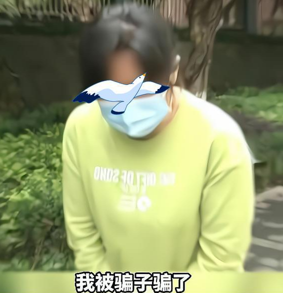 律師解讀：40歲的單親媽媽，網戀被騙15萬元