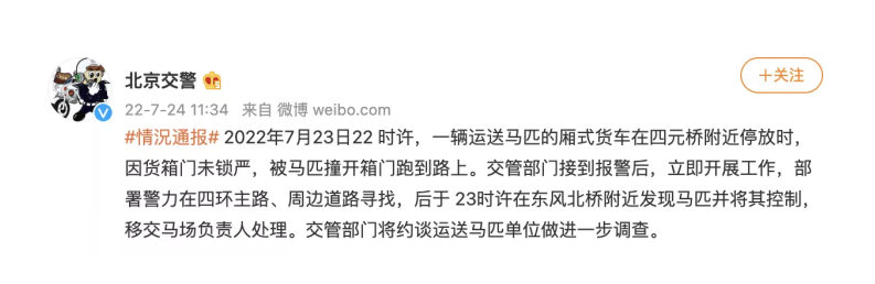 北京東四環(huán)出現(xiàn)馬匹？行車時(shí)突然遇到牲畜應(yīng)該如何防范？
