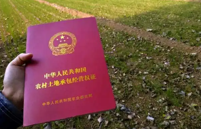 土地確權離婚時怎么解決？