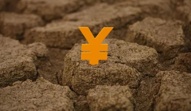 農(nóng)村土地被強(qiáng)征索賠無門，被拆遷人是否可以找政府履行賠償責(zé)任？