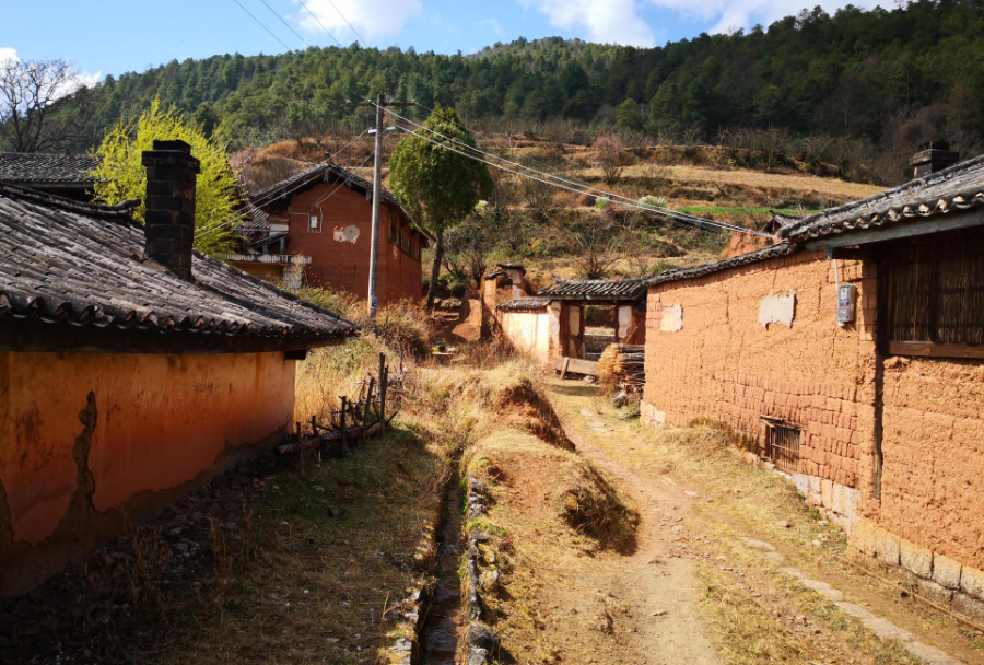 《民法典》涉及農(nóng)村集體、承包地、宅基地等條文匯總