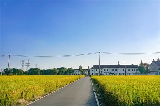 “一地二包”，誰最終有權(quán)獲得？